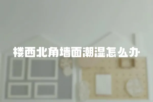 樓西北角墻面潮濕怎么辦