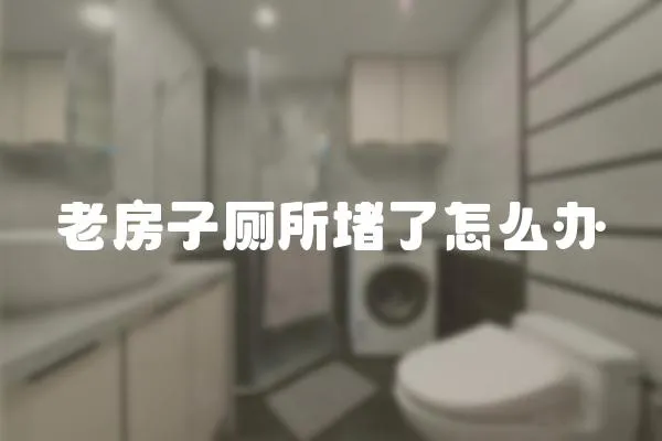 老房子廁所堵了怎么辦