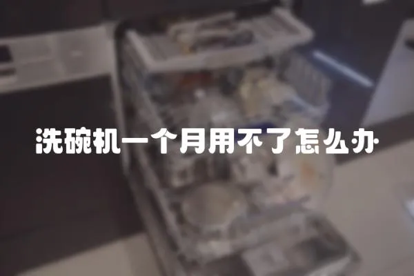 洗碗機(jī)一個(gè)月用不了怎么辦