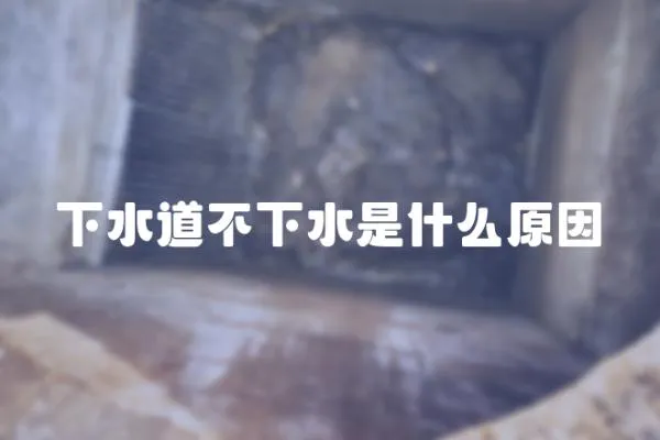 下水道不下水是什么原因
