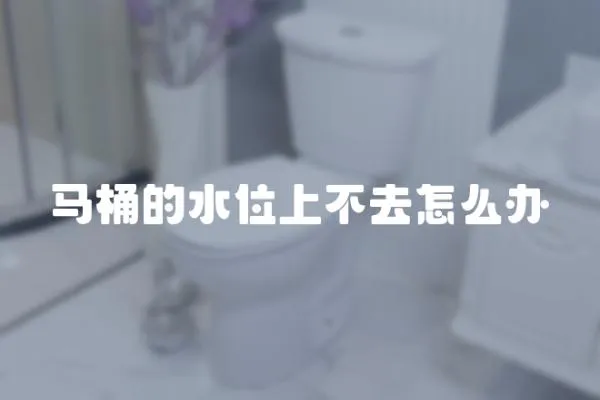 馬桶的水位上不去怎么辦