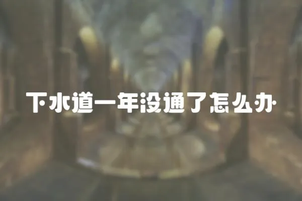 下水道一年沒通了怎么辦
