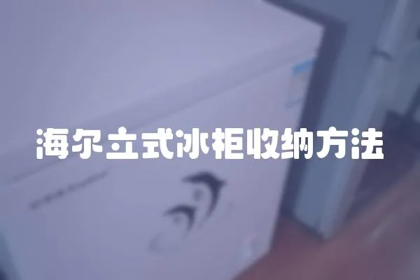 海爾立式冰柜收納方法