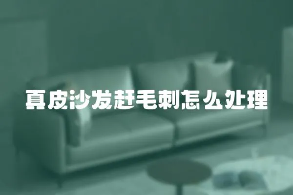 真皮沙發趕毛刺怎么處理