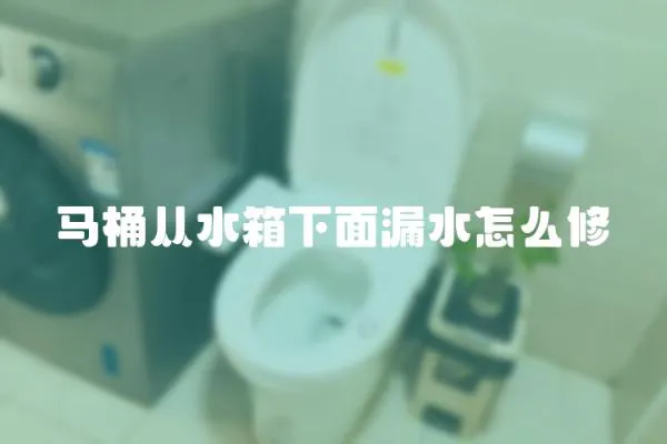 馬桶從水箱下面漏水怎么修