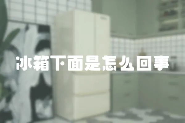 冰箱下面是怎么回事