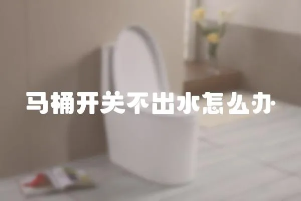 馬桶開關不出水怎么辦