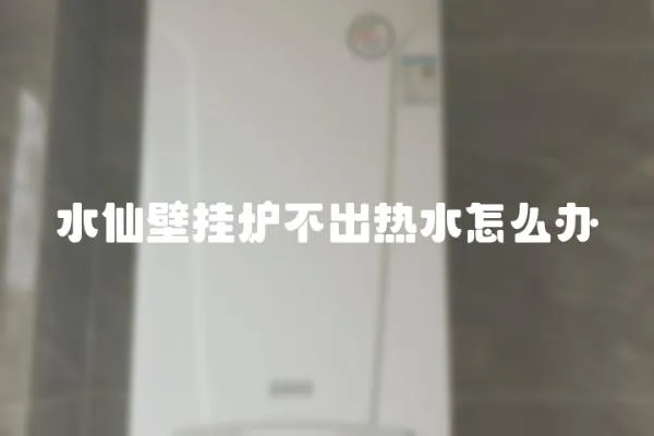 水仙壁掛爐不出熱水怎么辦