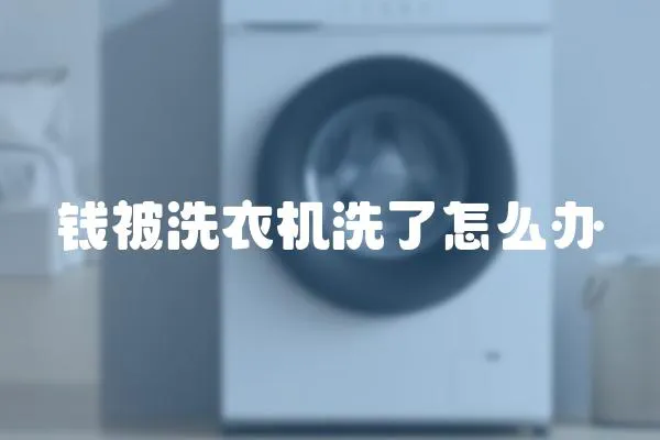 錢被洗衣機洗了怎么辦