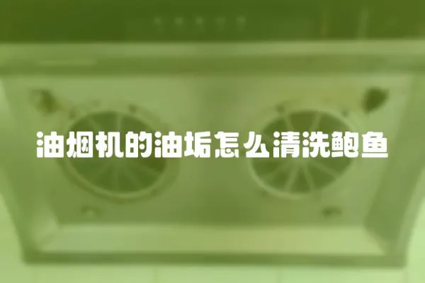 油煙機的油垢怎么清洗鮑魚