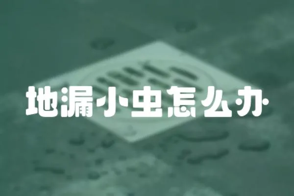 地漏小蟲怎么辦