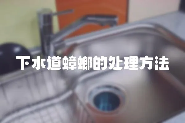 下水道蟑螂的處理方法