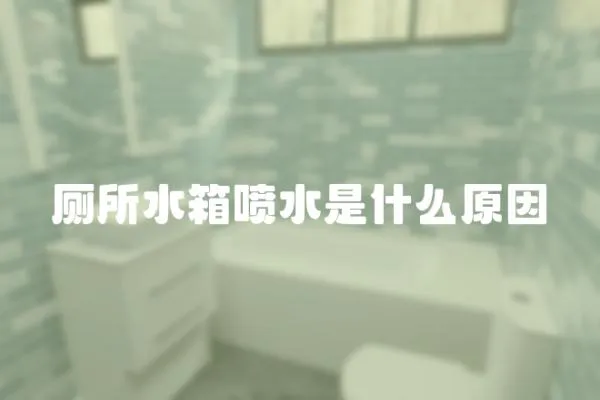 廁所水箱噴水是什么原因