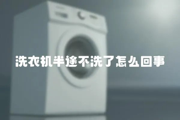 洗衣機半途不洗了怎么回事