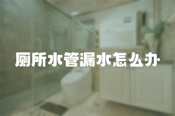 廁所水管漏水怎么辦