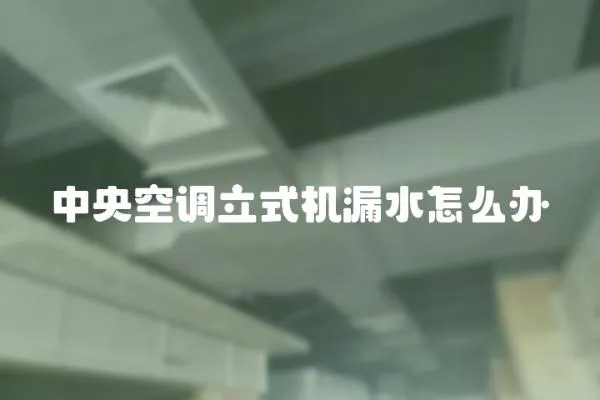 中央空調立式機漏水怎么辦