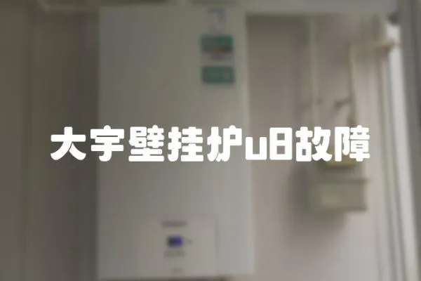 大宇壁掛爐u8故障