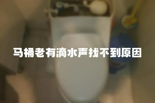 馬桶老有滴水聲找不到原因