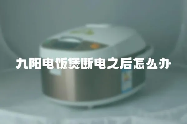 九陽電飯煲斷電之后怎么辦