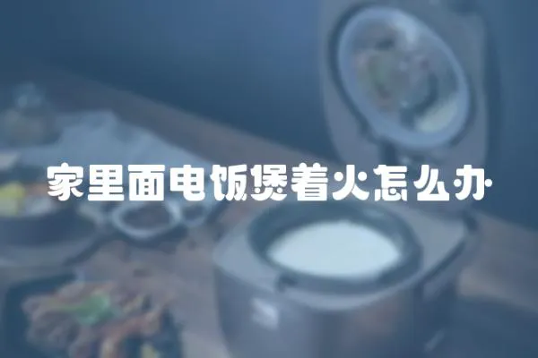 家里面電飯煲著火怎么辦