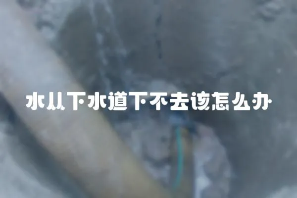 水從下水道下不去該怎么辦