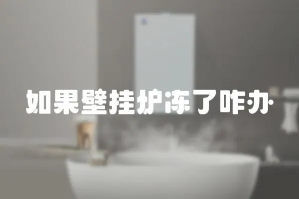 如果壁掛爐凍了咋辦