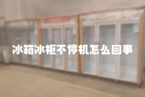冰箱冰柜不停機怎么回事