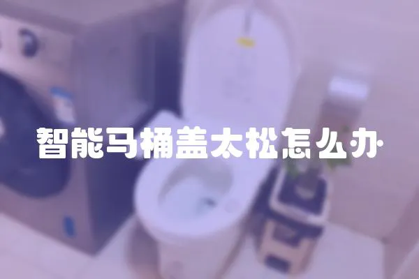 智能馬桶蓋太松怎么辦