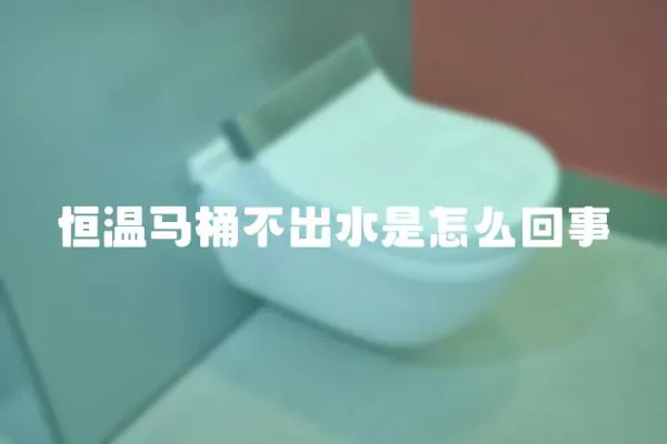 恒溫馬桶不出水是怎么回事