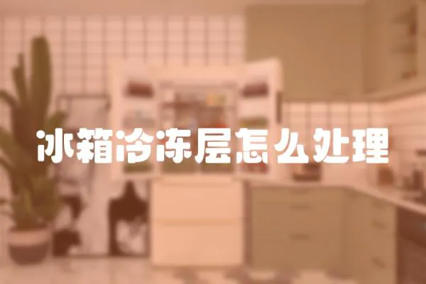 冰箱冷凍層怎么處理