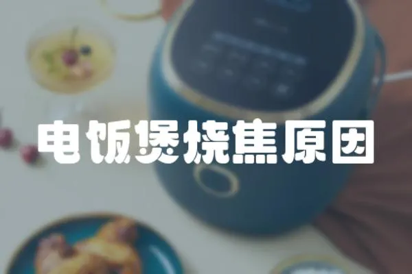 電飯煲燒焦原因