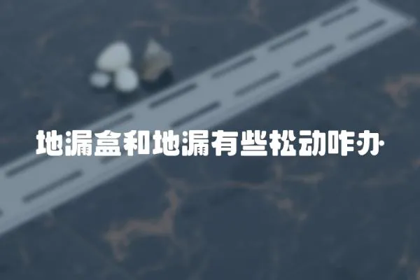 地漏盒和地漏有些松動咋辦