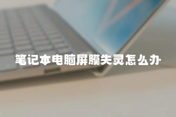 筆記本電腦屏膜失靈怎么辦