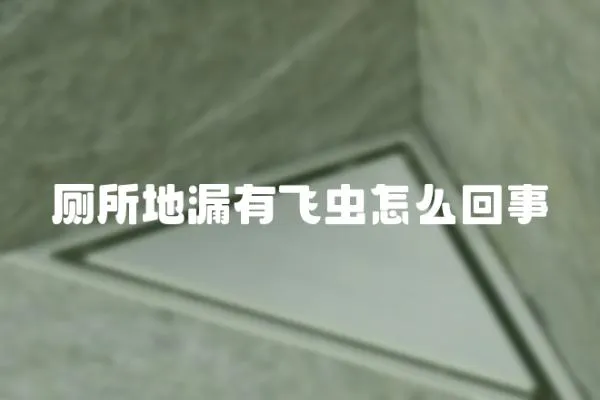廁所地漏有飛蟲怎么回事
