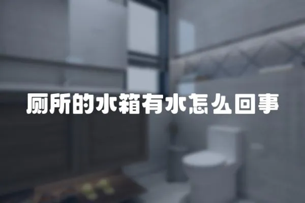 廁所的水箱有水怎么回事