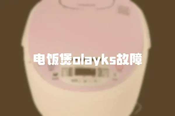 電飯煲olayks故障