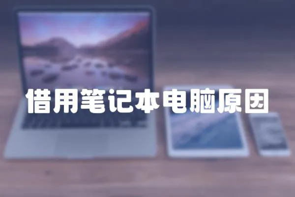 借用筆記本電腦原因