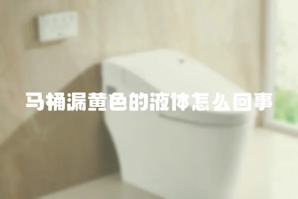 馬桶漏黃色的液體怎么回事