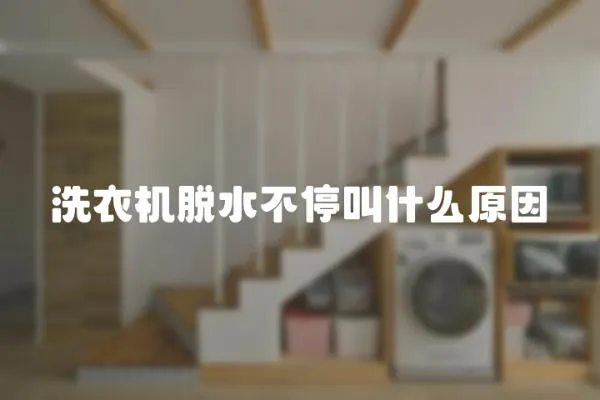 洗衣機脫水不停叫什么原因