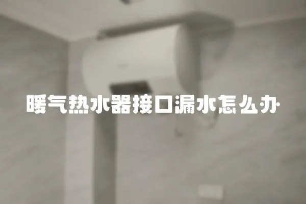 暖氣熱水器接口漏水怎么辦