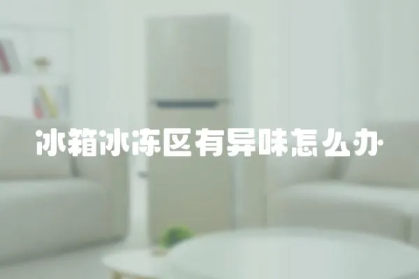 冰箱冰凍區有異味怎么辦