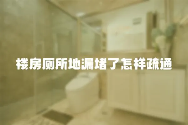 樓房廁所地漏堵了怎樣疏通