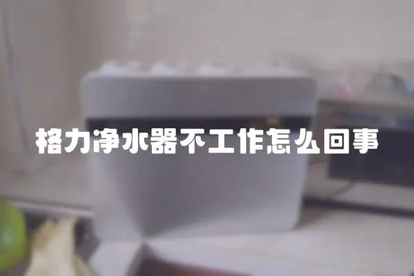 格力凈水器不工作怎么回事