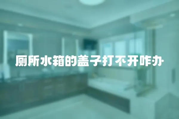 廁所水箱的蓋子打不開咋辦