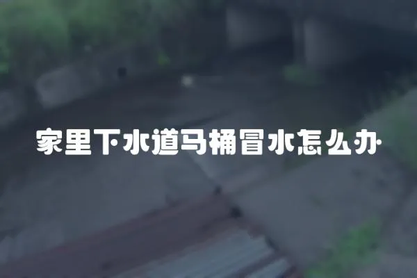家里下水道馬桶冒水怎么辦