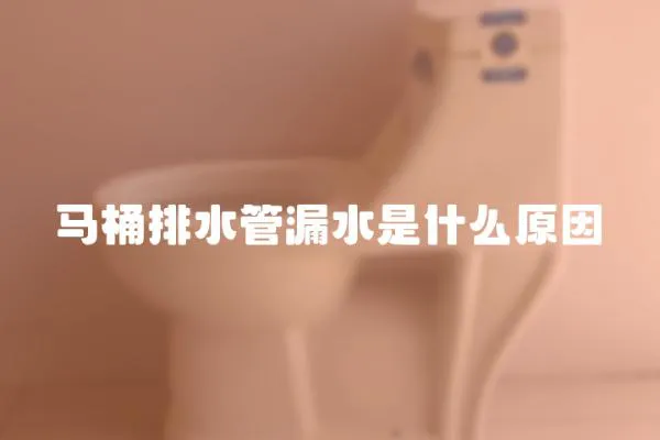 馬桶排水管漏水是什么原因