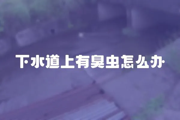 下水道上有臭蟲怎么辦