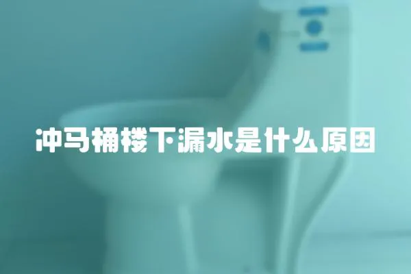 沖馬桶樓下漏水是什么原因