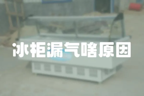 冰柜漏氣啥原因