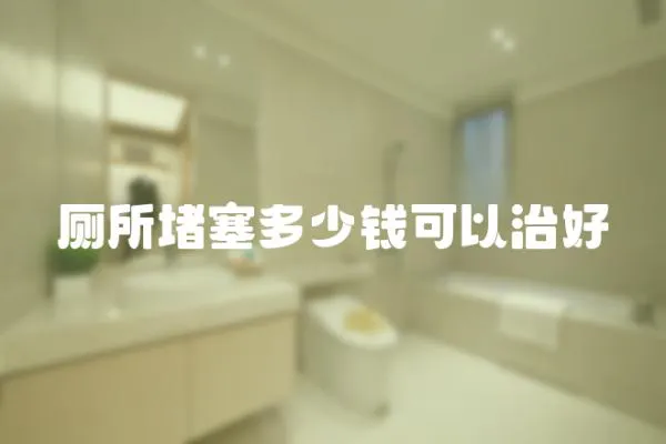 廁所堵塞多少錢可以治好